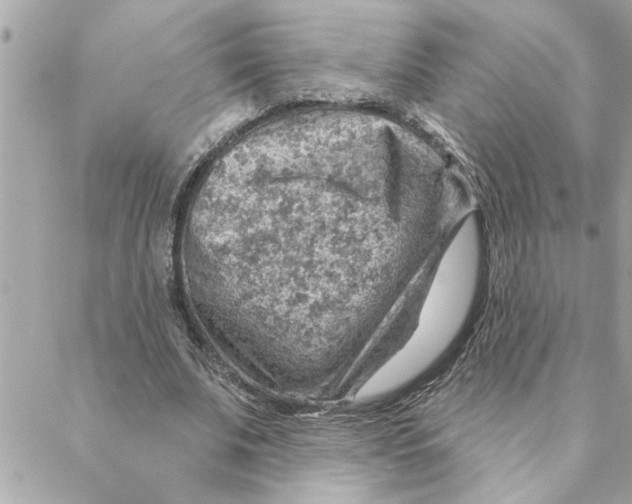 X0000088160679200706051052