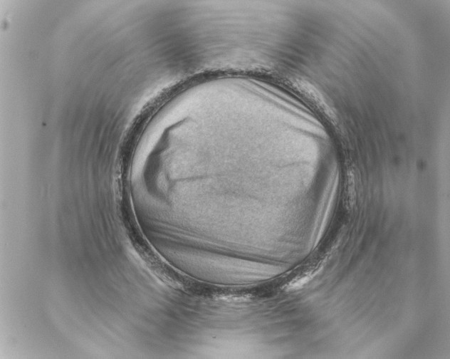 X0000088160680200706051052