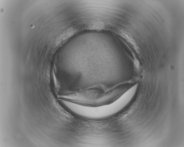 X0000088160681200706051052