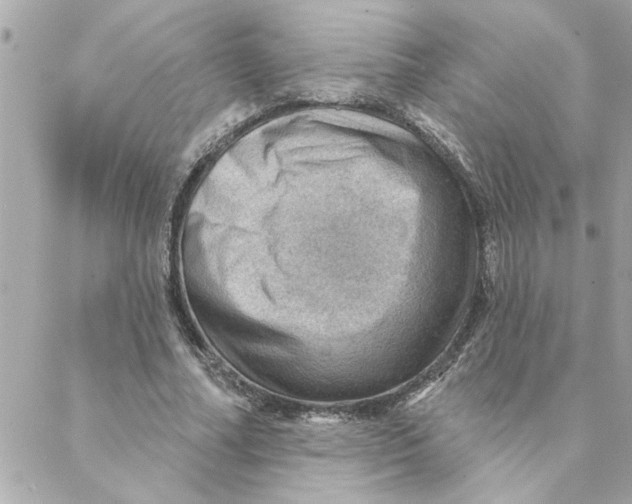 X0000088160682200706051052