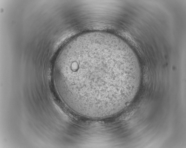 X0000088160683200706051052