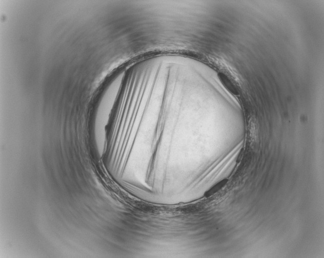 X0000088160684200706051052