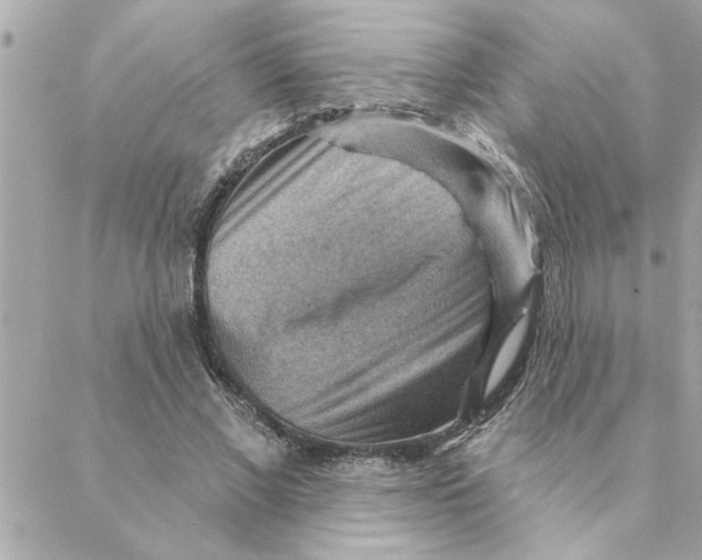 X0000088160685200706051052