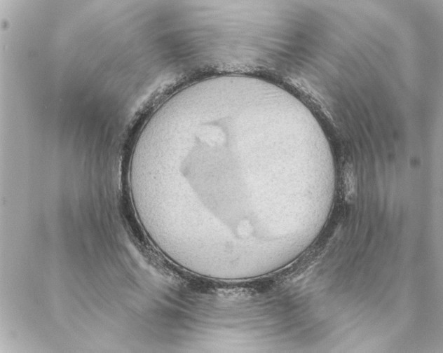 X0000088160686200706051052