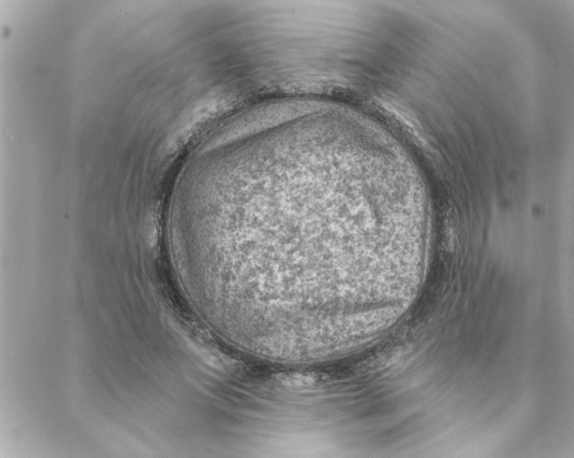 X0000088160687200706051052