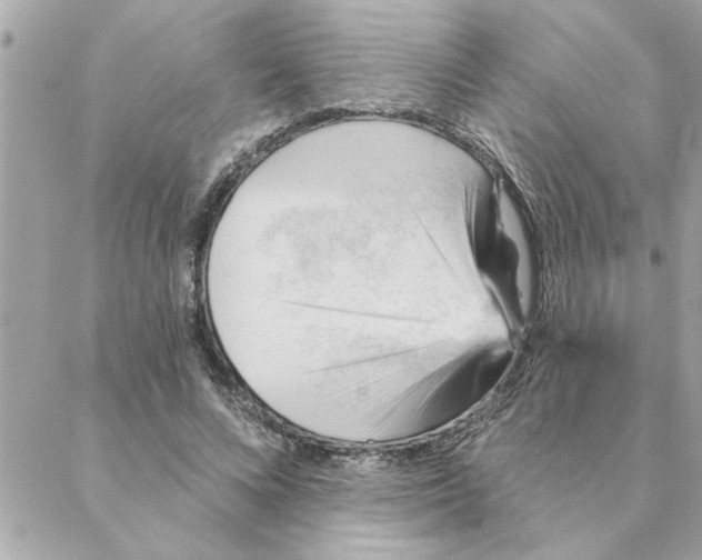 X0000088160688200706051052