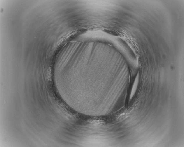 X0000088160689200706051052