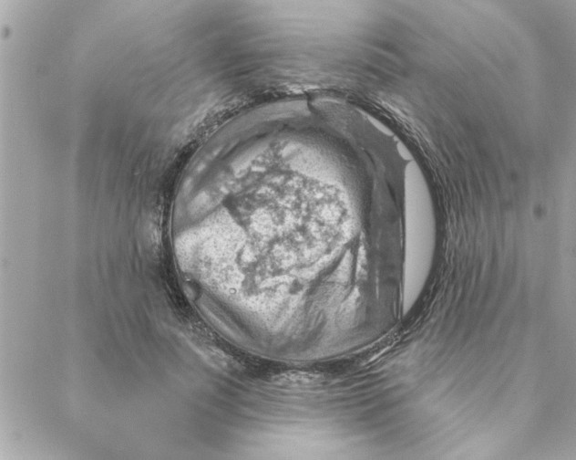 X0000088160691200706051052