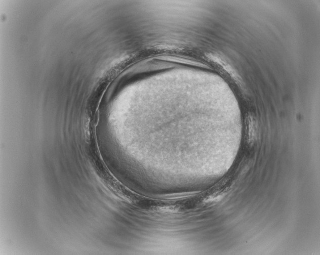 X0000088160692200706051052