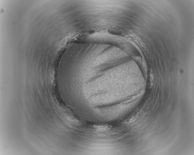 X0000088160693200706051052