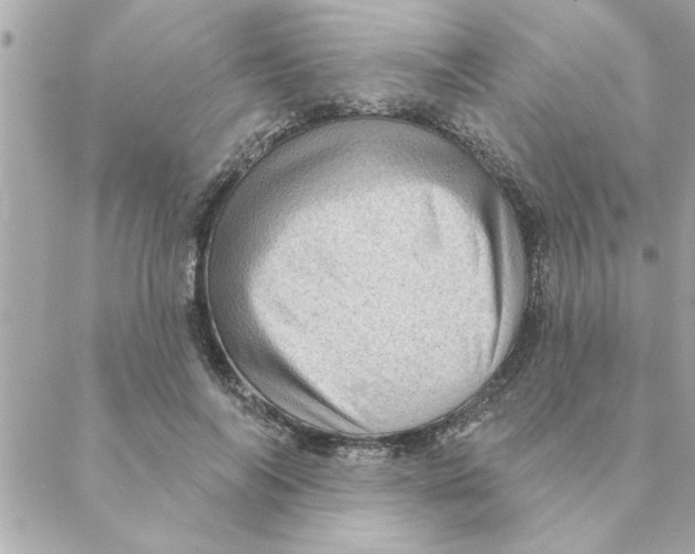 X0000088160694200706051052