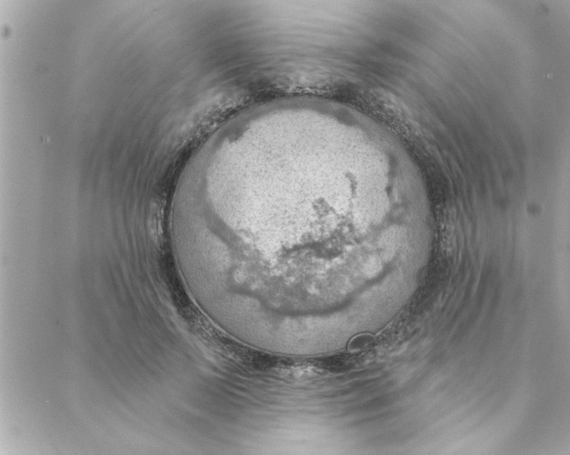 X0000088160695200706051052