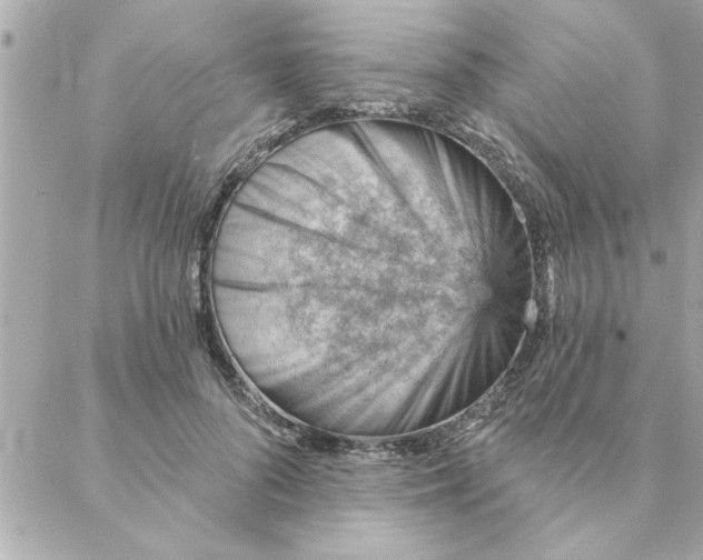 X0000088160696200706051052