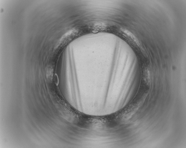 X0000088160697200706051052