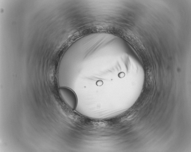 X0000088160698200706051052