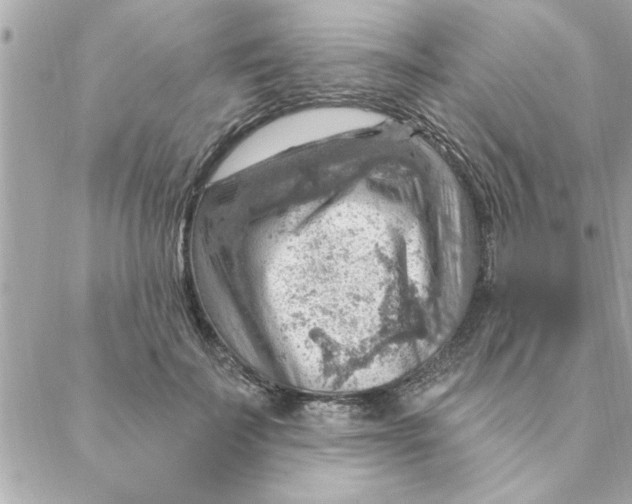 X0000088160699200706051051