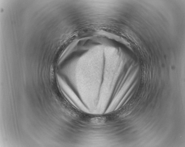 X0000088160700200706051051