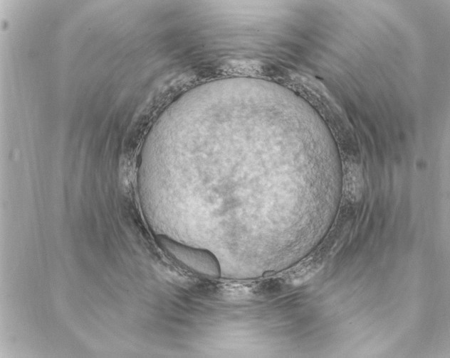 X0000088160701200706051051