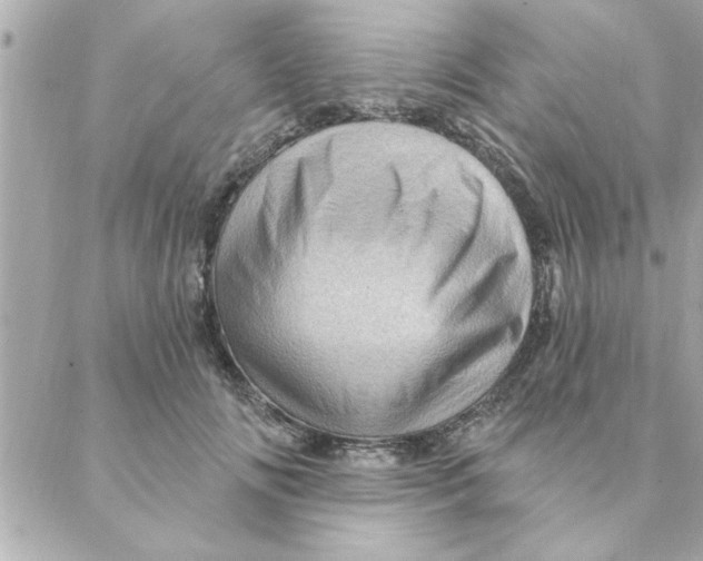 X0000088160702200706051051