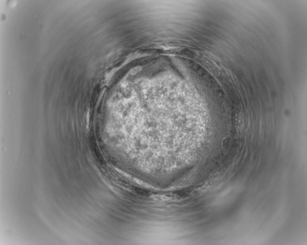 X0000088160703200706051051