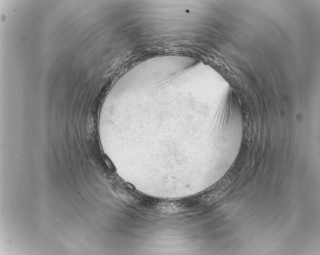 X0000088160704200706051051