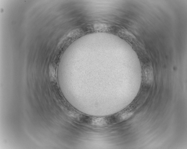 X0000088160705200706051051