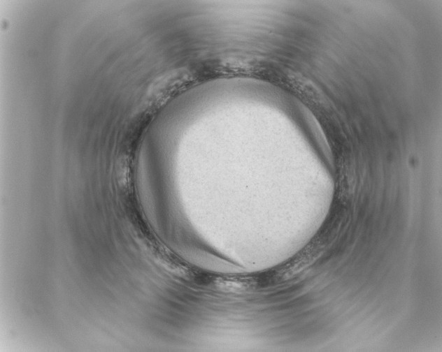 X0000088160706200706051051