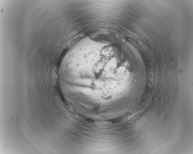 X0000088160707200706051051