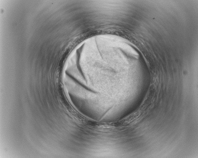 X0000088160708200706051051