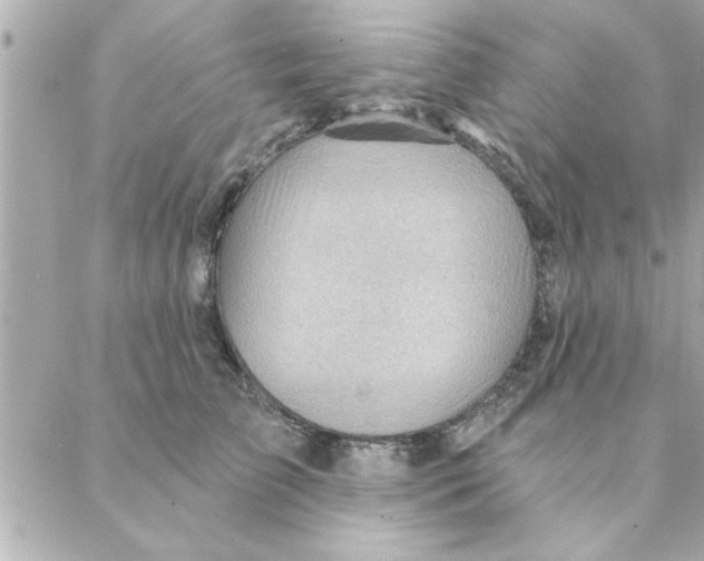 X0000088160709200706051051