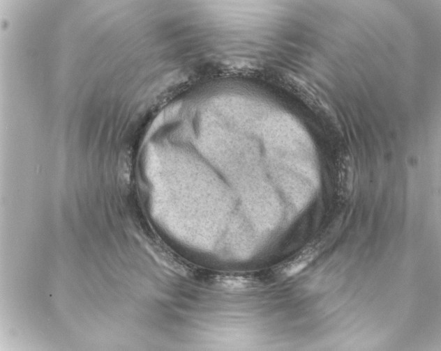 X0000088160710200706051051