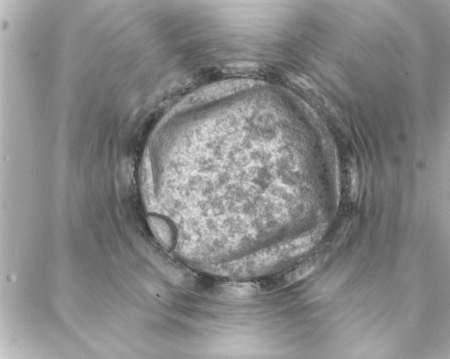 X0000088160711200706051051