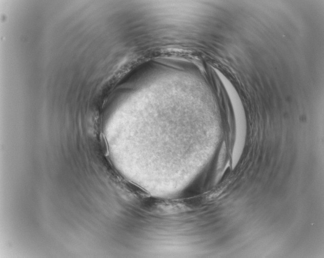 X0000088160712200706051051