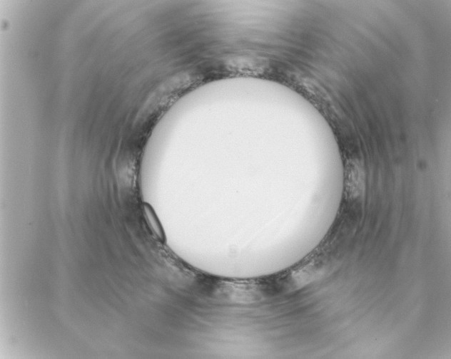 X0000088160713200706051051