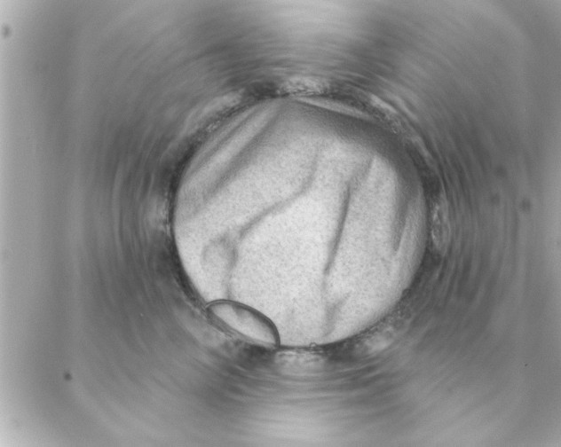 X0000088160714200706051051