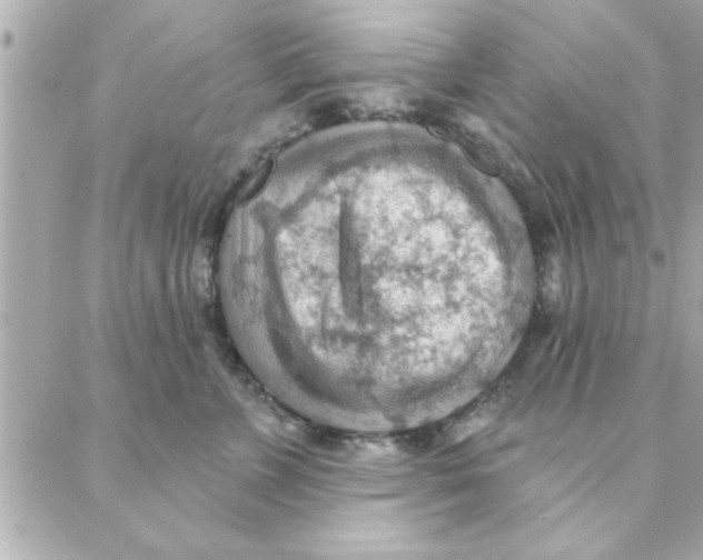 X0000088160715200706051051