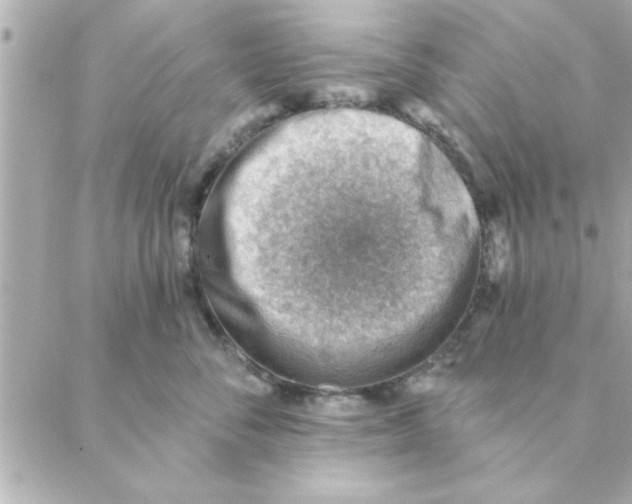 X0000088160716200706051051