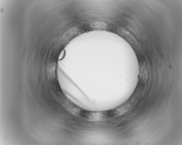 X0000088160717200706051051