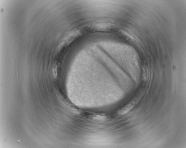 X0000088160718200706051051