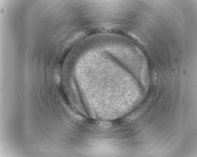 X0000088160719200706051051