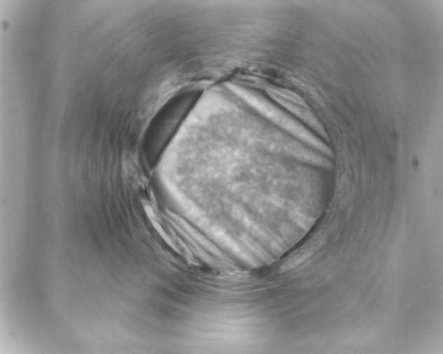 X0000088160720200706051051