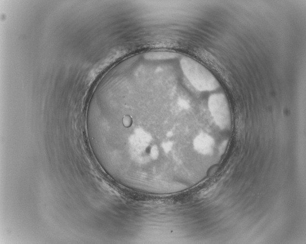 X0000088160721200706051050