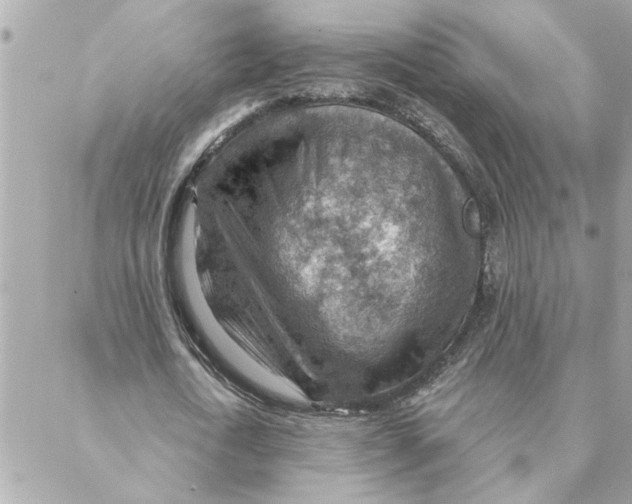 X0000088160722200706051050