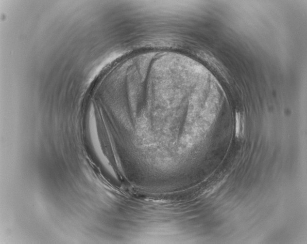 X0000088160723200706051050