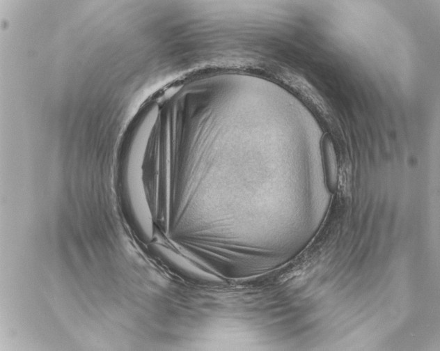 X0000088160724200706051050