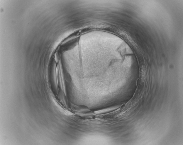 X0000088160726200706051050