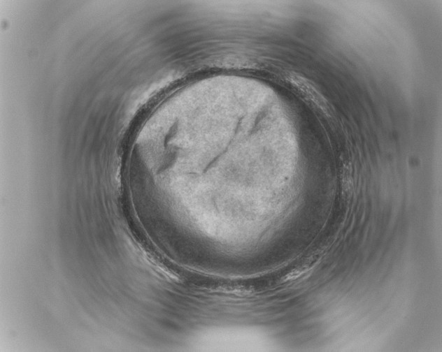 X0000088160727200706051050