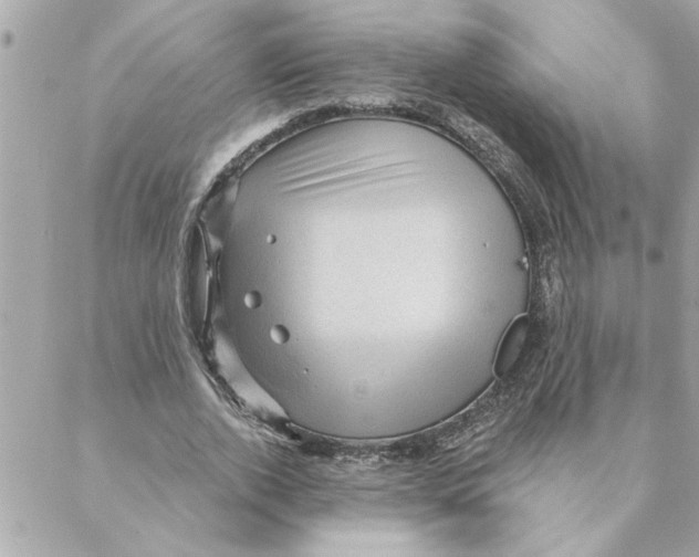 X0000088160728200706051050