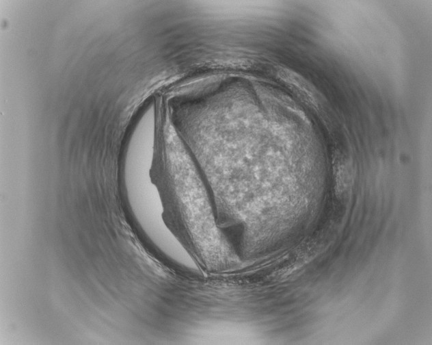 X0000088160729200706051050