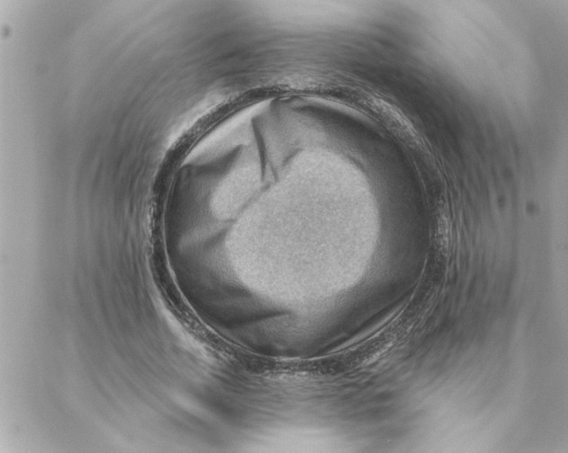 X0000088160730200706051051